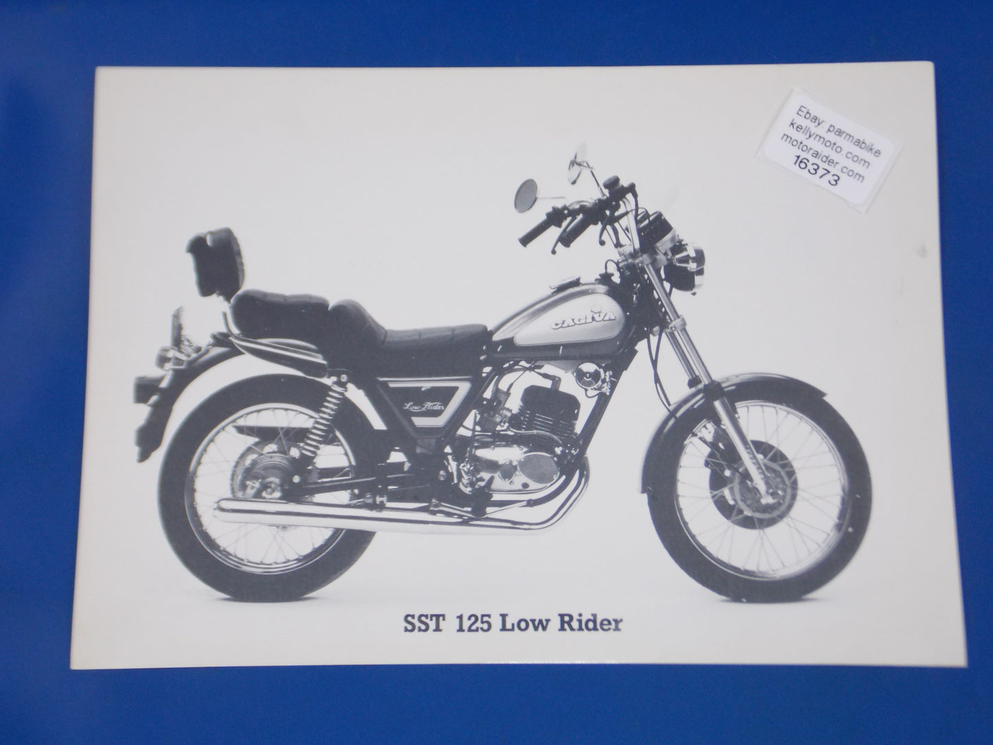 1980's CAGIVA SST 125 LOW RIDER 2 STROKE ORIGINAL DEALER PHOTO BROCHURE 11x8" - MotoRaider