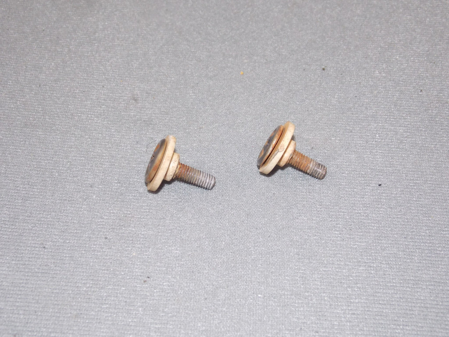 1992 KTM MXC 250 FRAME SIDE PANEL COVER SCREWS - MotoRaider