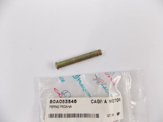 NOS OEM 2003 CAGIVA V RAPTOR 650 FRAME FOOT-BOARD PEG STAND PIN 80A053546 - MotoRaider