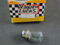 BULB LIGHT 6V 30/24W DOUBLE CONTACT MOTORCYCLES YAMAHA HONDA SUZUKI - MotoRaider